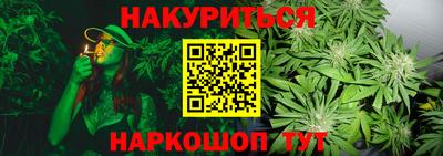 шишки Бийск