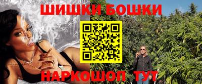 шишки Бийск
