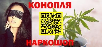шишки Бийск