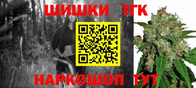 шишки Бийск
