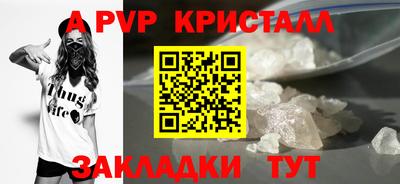 гашик Берёзовский