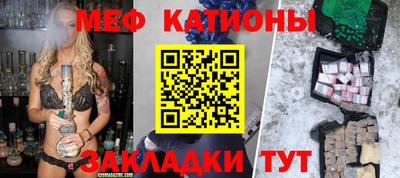 шишки Бийск
